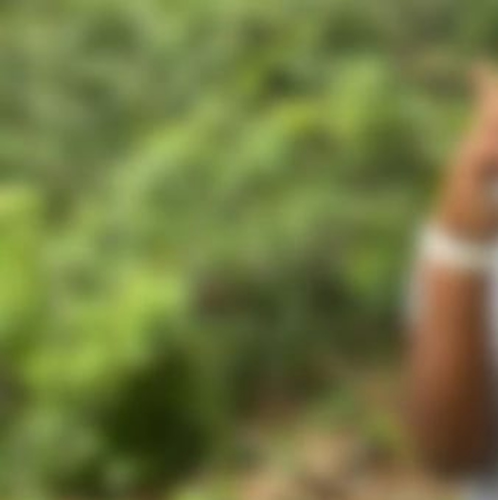 Meet your Posher, Destiny